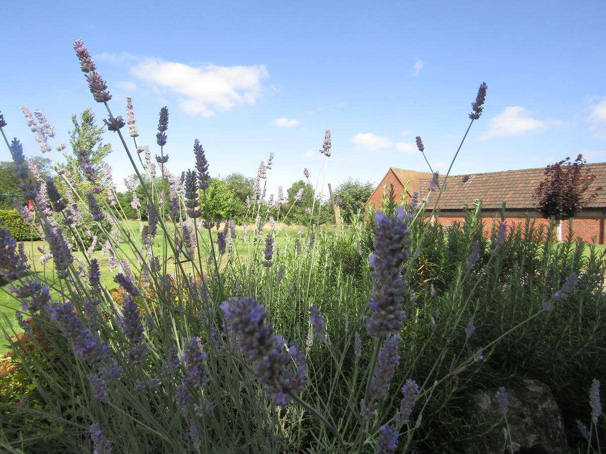 Home Farm Boreham Warminster Bagian luar foto