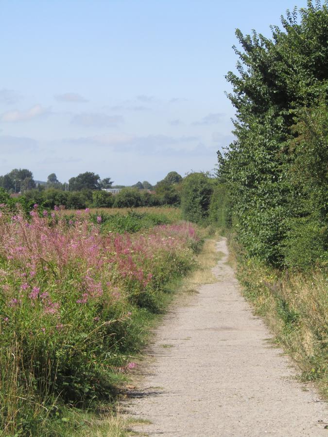 Home Farm Boreham Warminster Bagian luar foto